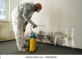 Reliable Doylestown, OH Mold Removal Solutions